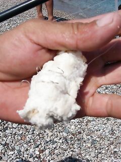 Анталия лёгкий шторм и паузы: окна короткие, но ловить можно