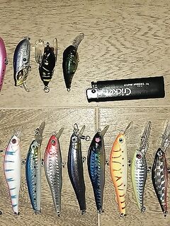 Анталия крупные минноу в коробке - осталось рыбу уговорить