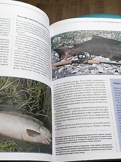 Анталия книги про море и новые приманки: пополнил рыболовный бокс