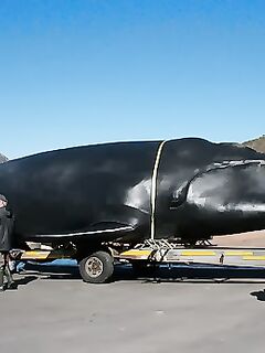 Анталия троллинг хэнд-мейд - заглубление два метра в кассу