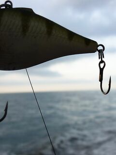 Анталия праздник и ноль - море тихое, стая прошла, баллон тянулся