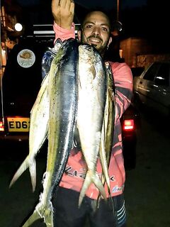 Кирения, Северный Кипр: свежая фотка товарища с береговым трофеем