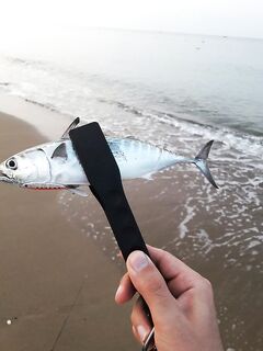 Анталия 5 утра на берегу: пилькер молчит, резина очередью