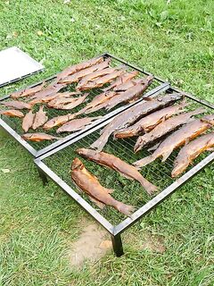 Белек копчение на пляже: поймал - закоптил - съел без разговоров