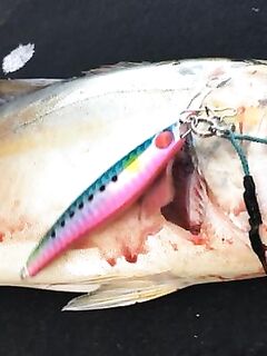 Анталия резкий твич по волне: бьёт даже на пляже, синяя минноу