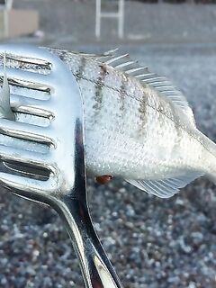 Морская рыбалка в Анталии: самодельный отцеп и урок безопасности