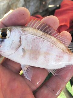 Анталийское побережье точка многоточий: пусть море само допишет финал