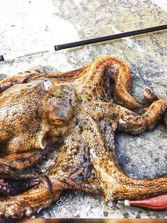 Анталия обувь для валунов: липкая подошва и дренаж - без этого никак