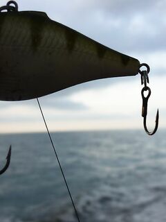 Белек поплавок у пирса: живец в тени и короткий поводок для чистой поклёвки