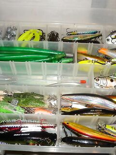 Лара сборы к морю: крючки, ассисты, палки в трубе и запасной флюр