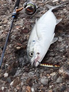 Морская рыбалка на Анталийском побережье часть 2 - Сиде и закрытие тура