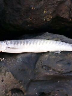 Анталия тревел-комплект и полнолуние: когда палка гасит рыбу сама