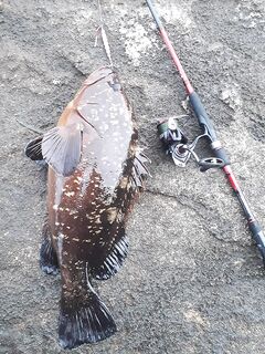 Анталия ерши подошли к кромке - Костя, пора вытаскивать спиннинги