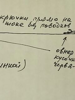 Окурджалар онлайн-отчёты: снасть с поплавком ловит крупного карася