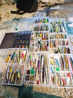 Морская рыбалка в Алании: копии Rigge и компания на закатный твичинг