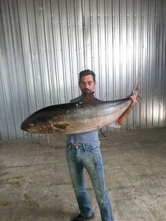 Сиде зачёт по берегу: спиннинг на фото - меньше размера не считаем