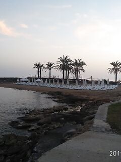 Алания утренняя кромка воды: сарган стаями кефаль и крабы у прибрежных камней