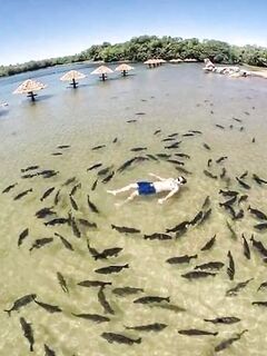 Кемер ночная тема с кефалью и фото из сети: спорим и смотрим примеры