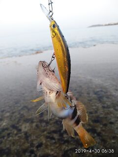 Совет по точке у пирса: приступка, сразу три метра вниз и грубые камни