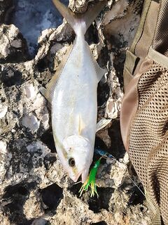 Анталия фотоотчёт с берега — снасти, приманки, свал, вечерний бриз