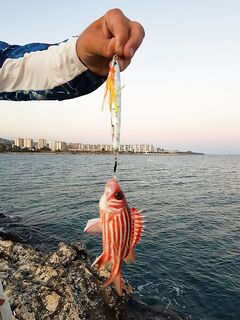 Анталия рыба-белка на пилькер 60 г — агрессивный удар с глубины