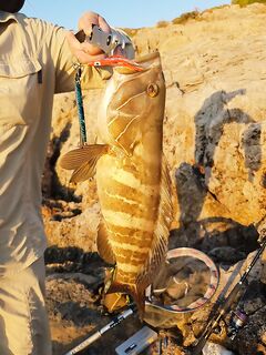 Анталийское побережье фугу на нож — 1160 г и ещё один холостой