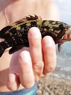 Кемер береговой спиннинг и наживка: курица ловит, силикон молчит