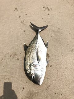 Анталия тяжёлый джиг по струе — ступенька длинная, пауза короче