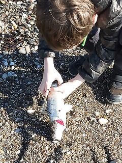 Анталия настройка фрикциона на волне — как не рвать лёгкие поводки