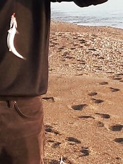 Анталия бомбарда с берега — мелкий пологий пляж и вечерняя подача