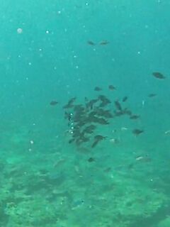 Анталия вечерний микроджиг отводной и джиг карась и белки в лайте