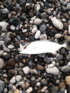 Анталия первый выход в море предрассвет сход рыбы и вопросы