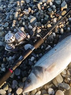 Анталия белые и red head против iwashi опыт по минноу сто двадцать