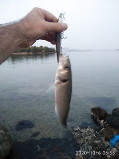 Анталия рассвет микроджиг мелкие пожиратели пара штук и точка