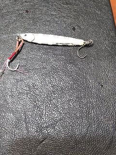 Кунду, Анталия: береговой спиннинг на пилькер 10 г зебра белая