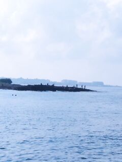 Аланья: шор-джиг без контактов, кормовая тьма и поиски