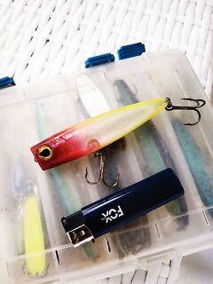 Кемер: ночной спиннинг у пирса и загадочная длинная рыба