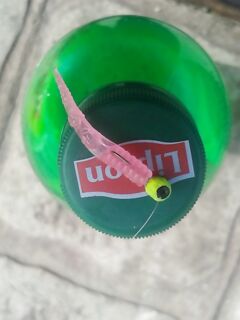 Анталия: прикормка и дипы - байки про колу, чай и «аттрактанты»