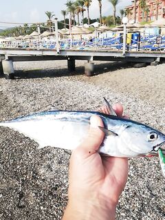 Кемер: паламут на выбросе и уроки от местного рыбака