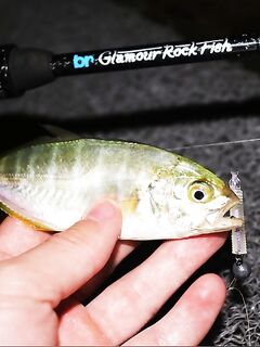 Анталия, Анталийское побережье: ночные вылазки к пирсу и 13VIB30