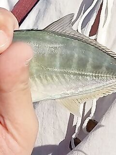 Анталийское побережье: октябрьский клёв прибрежной мелочи