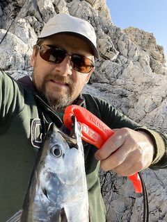 Анталийское побережье, тунец на сашими, вопрос про печень