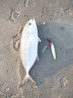 Анталия, прибой у речки, случайный тральчик и байки про амбера