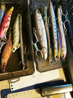 Анталийское побережье, стики и попперы, Hydra 175 решает