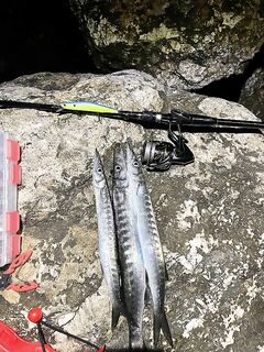 Морская рыбалка напротив Кипра, закатный спиннинг по барракуде