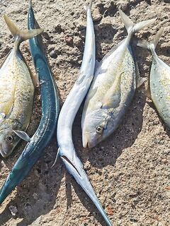 Морская рыбалка на рассвете в Аланье: берег проснулся, первый заброс