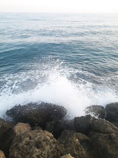 Сиде, утро: путаница, зацепы и трава - сегодня без рыбы, свернулся рано