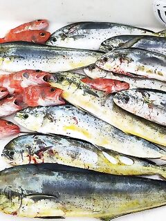 Мерсин и дальше: махи-махи валом, ждём подход к нашему берегу