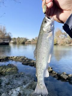 Манавгат, перекаты: с берега взял небольшую рыбу, время года подвело