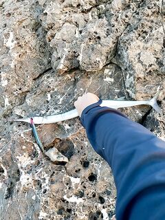 Анталия рассветный тунчик: Jigpara до 15 г, воблеры и сарган к берегу